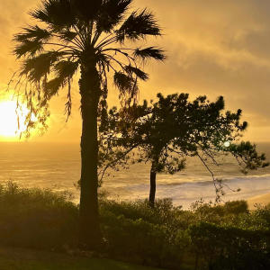 收聽Rhyno的After The Storm歌詞歌曲