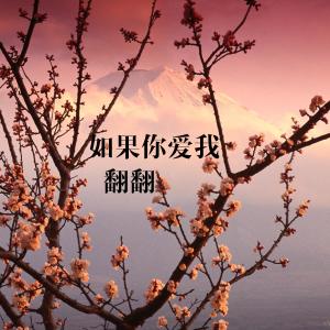 Listen to Ru Guo Ni Ai Wo song with lyrics from FF翻翻
