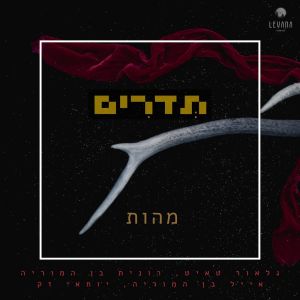 Listen to מהות song with lyrics from Galor Taite