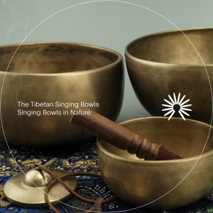 收聽The Tibetan Singing Bowls的Beta State歌詞歌曲