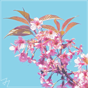 收聽Madilyn Bailey的New Rules歌詞歌曲