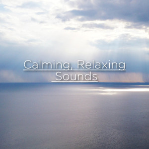 Dengarkan Peaceful Sleep Sounds lagu dari Rain Sounds dengan lirik