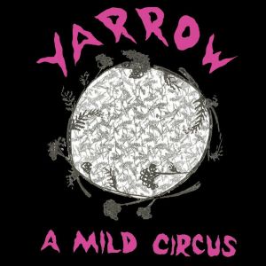 收聽Yarrow的Bubble Tea歌詞歌曲