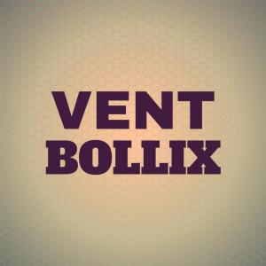 Album Vent Bollix from Various