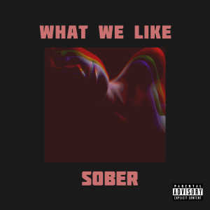 What We Like (Explicit)