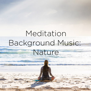 收听Deep Sleep的Zen Nature Sounds歌词歌曲