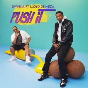 Listen to Push It (Explicit) song with lyrics from Dwinna