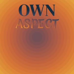 Various Artists的專輯Own Aspect