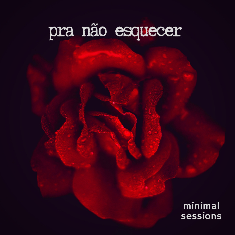 Pra Não Esquecer (Acústico)