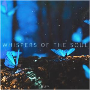 BMW的專輯whispers of the soul (Explicit)