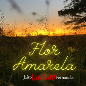 ดาวน์โหลดและฟังเพลง Flor Amarela พร้อมเนื้อเพลงจาก Jairo Lambari Fernandes