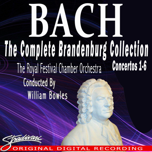 Brandenburg Concerto No. 6 in B Major, BWV 1051: II. Adagio ma non tanto