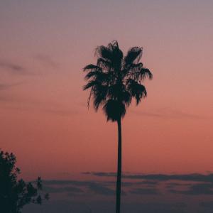 Listen to Boulevard of Broken Dreams (Explicit) song with lyrics from lonely coffee friend