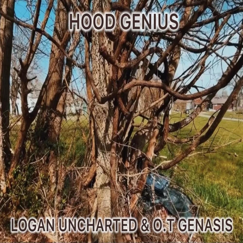 Hood Genius (feat. O.T. Genasis) (Explicit)