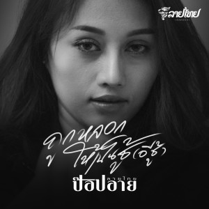 ดาวน์โหลดและฟังเพลง ถูกหลอกให้เป็นชู้ (อีชู้) พร้อมเนื้อเพลงจาก ป๊อปอาย
