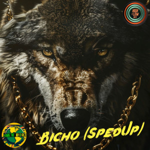 อัลบัม Bicho (Sped Up) ศิลปิน Funk The World