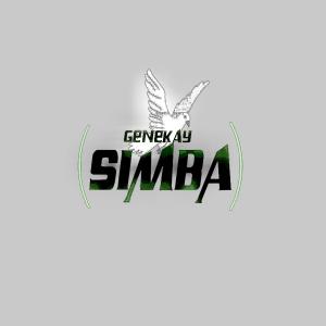 ดาวน์โหลดและฟังเพลง It's plenty พร้อมเนื้อเพลงจาก Genekay simba