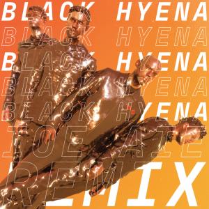 ดาวน์โหลดและฟังเพลง Black Hyena (IOE AIE Remix) พร้อมเนื้อเพลงจาก Everything Everything