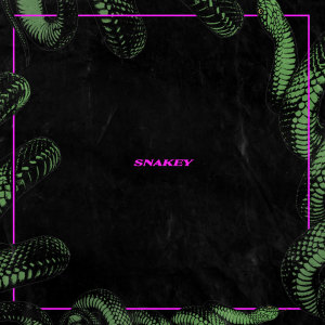 Album Snakey (Explicit) from Izzie Gibbs