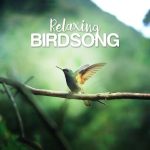 收聽Outside Broadcast Recordings的Afternoon Bird Chorus歌詞歌曲