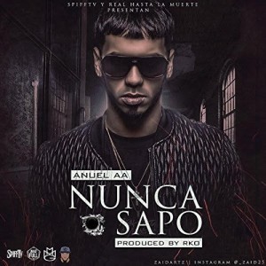 Listen to Nunca Sapo song with lyrics from Anuel AA