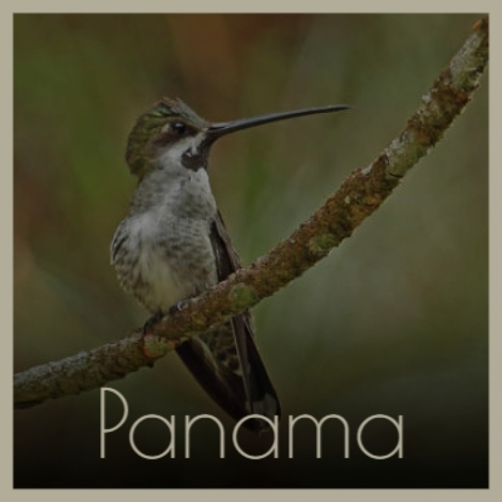 Panama