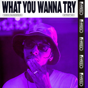 收聽Masego的What You Wanna Try (Kweku Saunderson Detroit Mix)歌詞歌曲