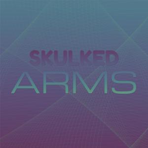 Dengarkan lagu Skulked Arms nyanyian Marli Rupes dengan lirik