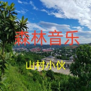 Listen to 山村小伙 (完整版) song with lyrics from 孙树森
