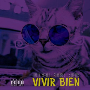 Listen to Vivir Bien song with lyrics from MoodBrry