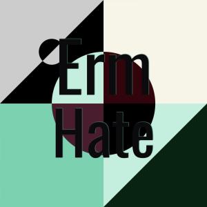 อัลบัม Erm Hate ศิลปิน Various