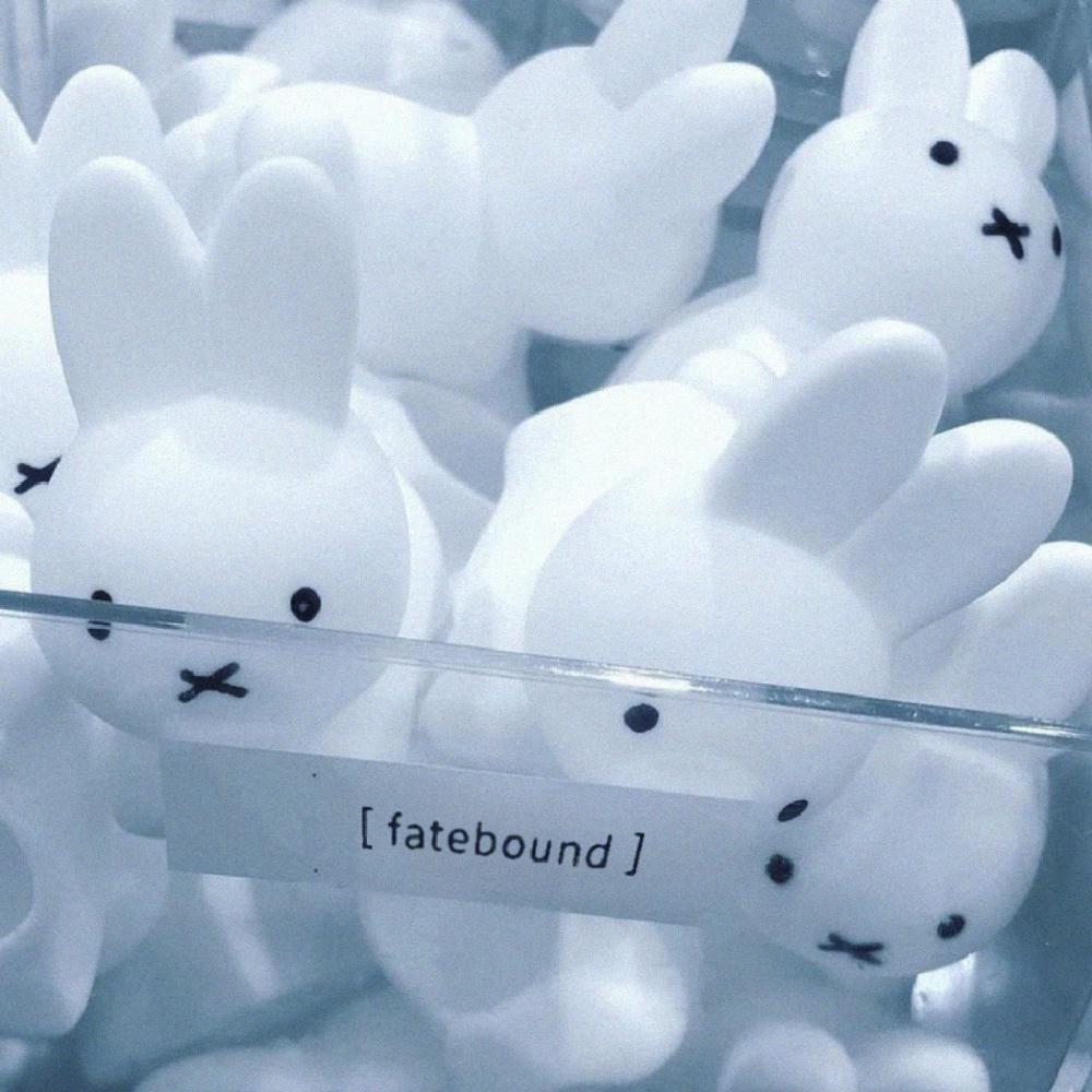 Fatebound* (feat. EJEAN)