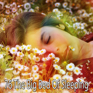收听Relaxing Music Therapy的Dream Creche歌词歌曲