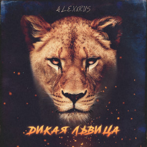 Album Дикая львица from ALEX&RUS