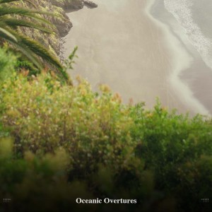 Calm Ocean Sounds的專輯!!!!" Oceanic Overtures "!!!!