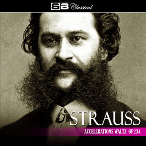 อัลบัม Strauss: Accelerations Waltz Op. 234 (Single) ศิลปิน Alfred Scholz