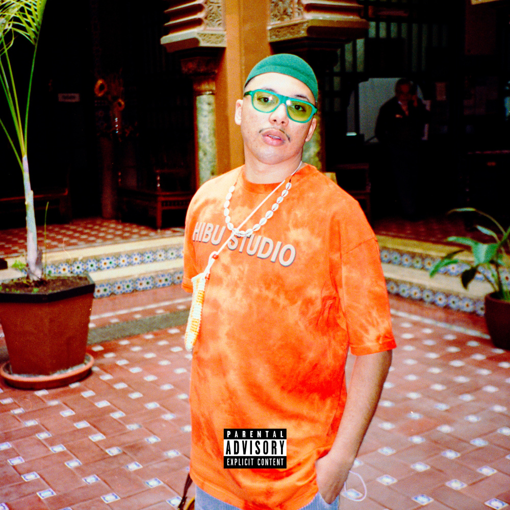 Mawashi-geri (Explicit)