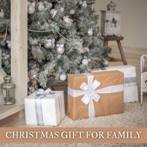 Christmas Gift for Family dari Various  Artists