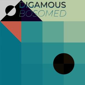 Various的专辑Digamous Bosomed