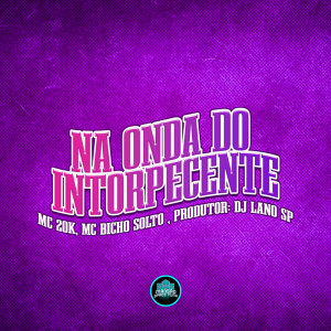 mc 20k的專輯Na Onda Do Intopercente (Explicit)