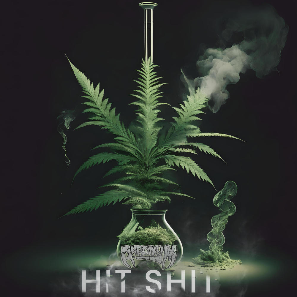 Hit Shit (Explicit)