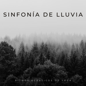 Sonidos de yoga的專輯Sinfonía De Lluvia: Ritmos Acuáticos De Yoga