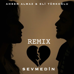 Eli Türkoğlu的专辑Sevmedin (Remix)