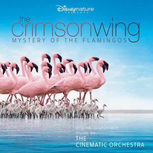 The Cinematic Orchestra的專輯The Crimson Wing: Mystery of the Flamingos