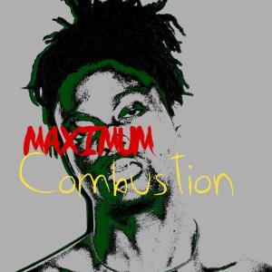 อัลบัม MAXIMUM COMBUSTION (feat. Nigobeats) ศิลปิน Zotto