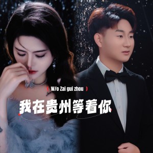 Album 我在贵州等着你（dj何友版） from 小子聪