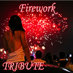 收聽Music Pioneerz的Firework (Katy Perry Tribute)歌詞歌曲
