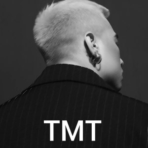 Listen to Cho Em Và Anh song with lyrics from TMT