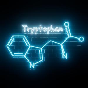 Tryptophan的專輯Tryptophan