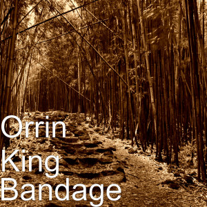 ดาวน์โหลดและฟังเพลง Bandage (Explicit) พร้อมเนื้อเพลงจาก Orrin King